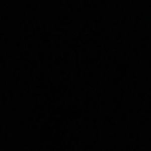 Meet your Posher, Corey